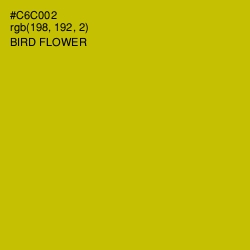 #C6C002 - Bird Flower Color Image